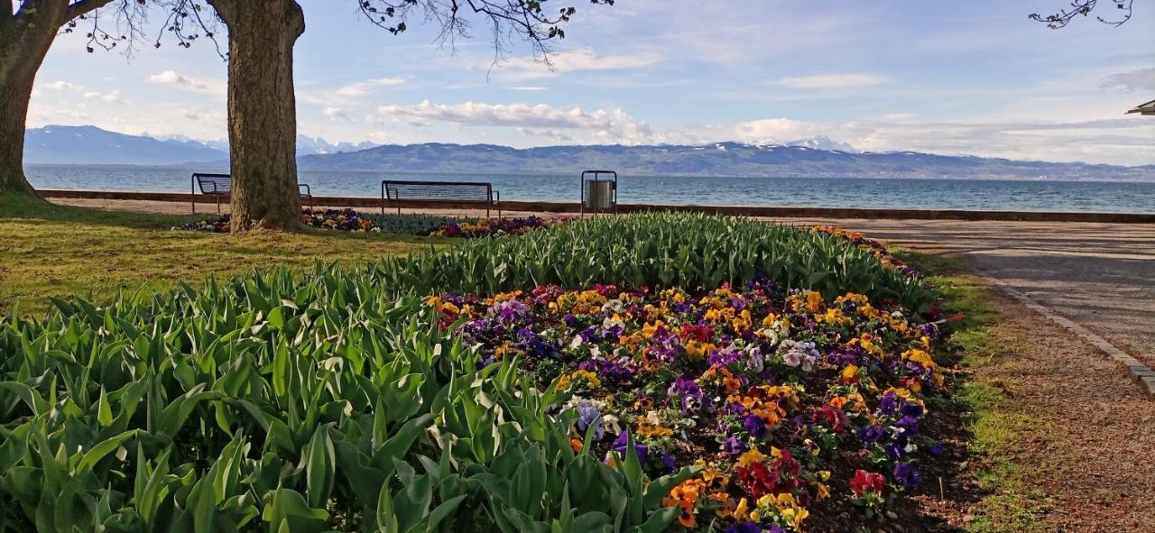 Bodensee Apartments Kressbronn "Haus Am Seepark" Kressbronn am Bodensee Luaran gambar